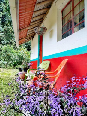 Alojamiento rural, Finca primavera